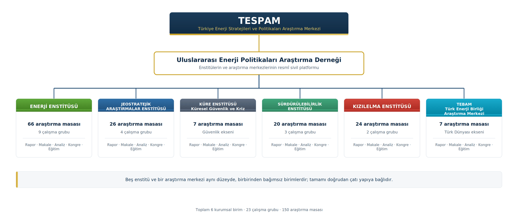 TESPAM kurumsal şema